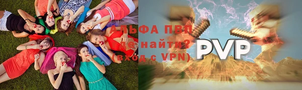 твердый Заводоуковск