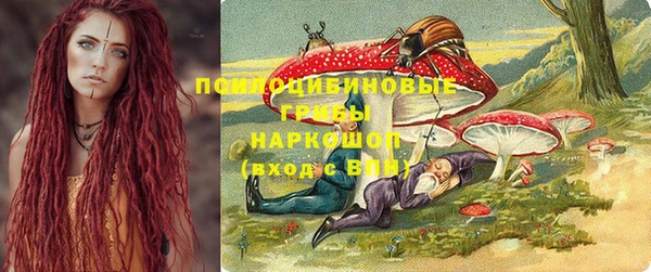 гидра Заволжье