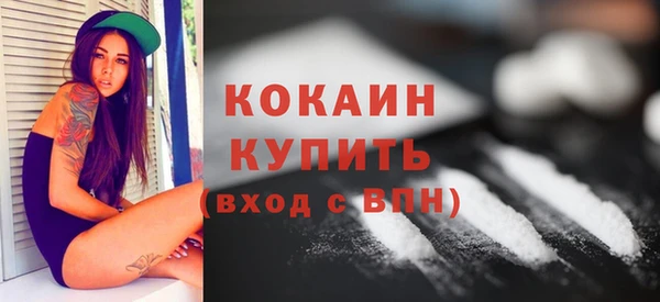 твердый Заводоуковск