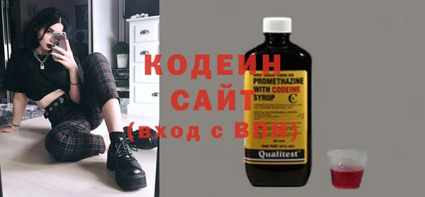 твердый Заводоуковск