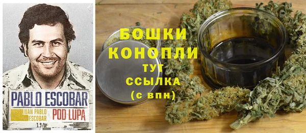 гидра Заволжье