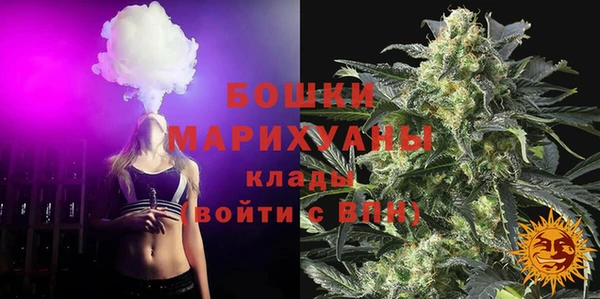 гидра Заволжье