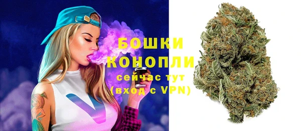 твердый Заводоуковск
