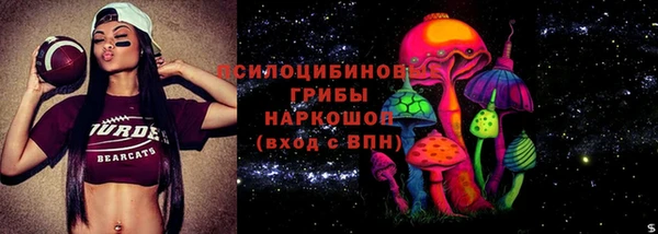 твердый Заводоуковск