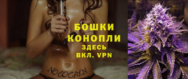 твердый Заводоуковск