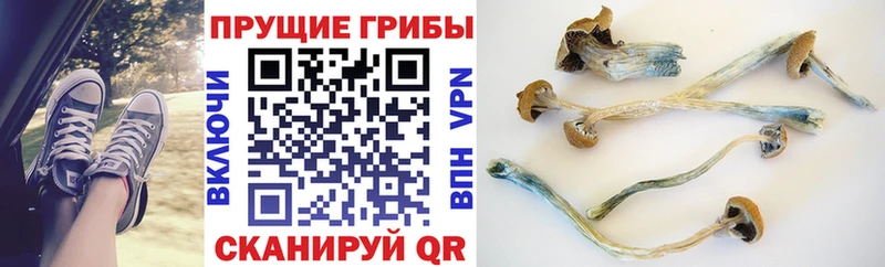 mega ССЫЛКА  Семёнов  Псилоцибиновые грибы Psilocybine cubensis 